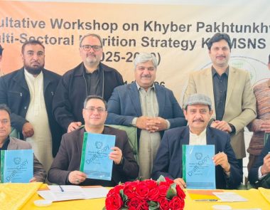 Khyber Pakhtunkhwa Multi-Sectoral Nutrition Strategy (KP-MSNS)